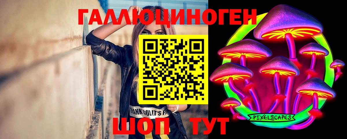 Галлюциногенные грибы ЛСД  купить закладку  Вход с VPN  Новозыбков  Псилоцибиновые грибы Magic Shrooms 