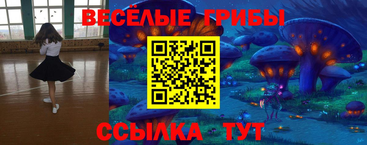 Псилоцибиновые грибы GOLDEN TEACHER Новозыбков
